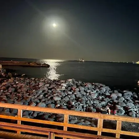 ネットゥーノ 4*